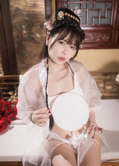丑闻夫人