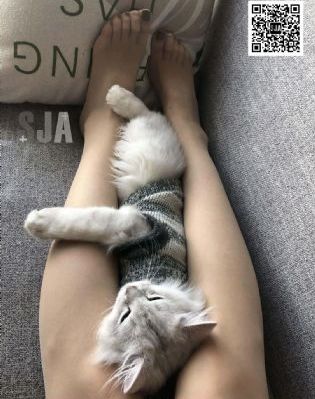 大冬瓜国语电视剧全集免费观看